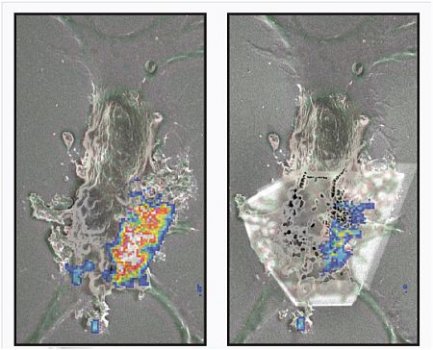 ZnO_nanoparticles_web.jpg